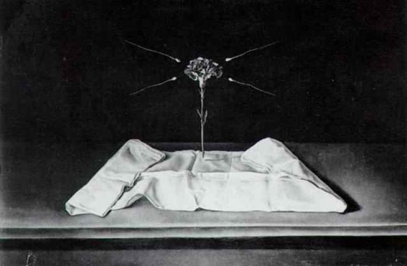 1950_23_mystical carnation 1950-51.jpg